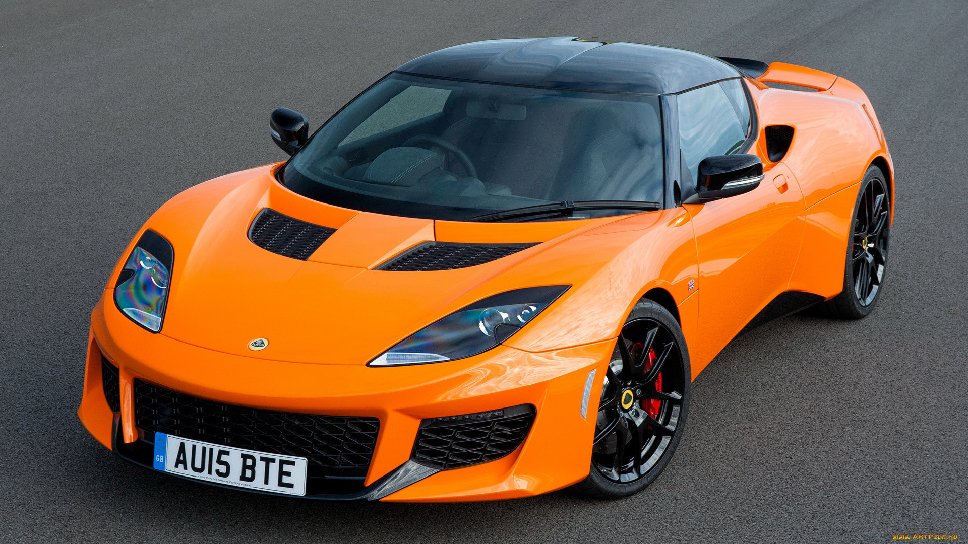 , lotus